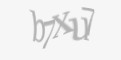 Защитный код