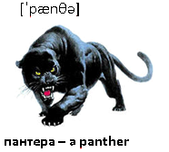 пантера 