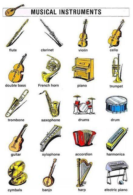 Все Виды Музыкальных Инструментов Фото С Названиями