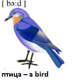 птица