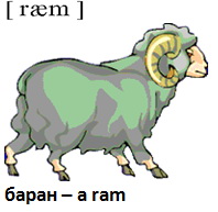 a ram