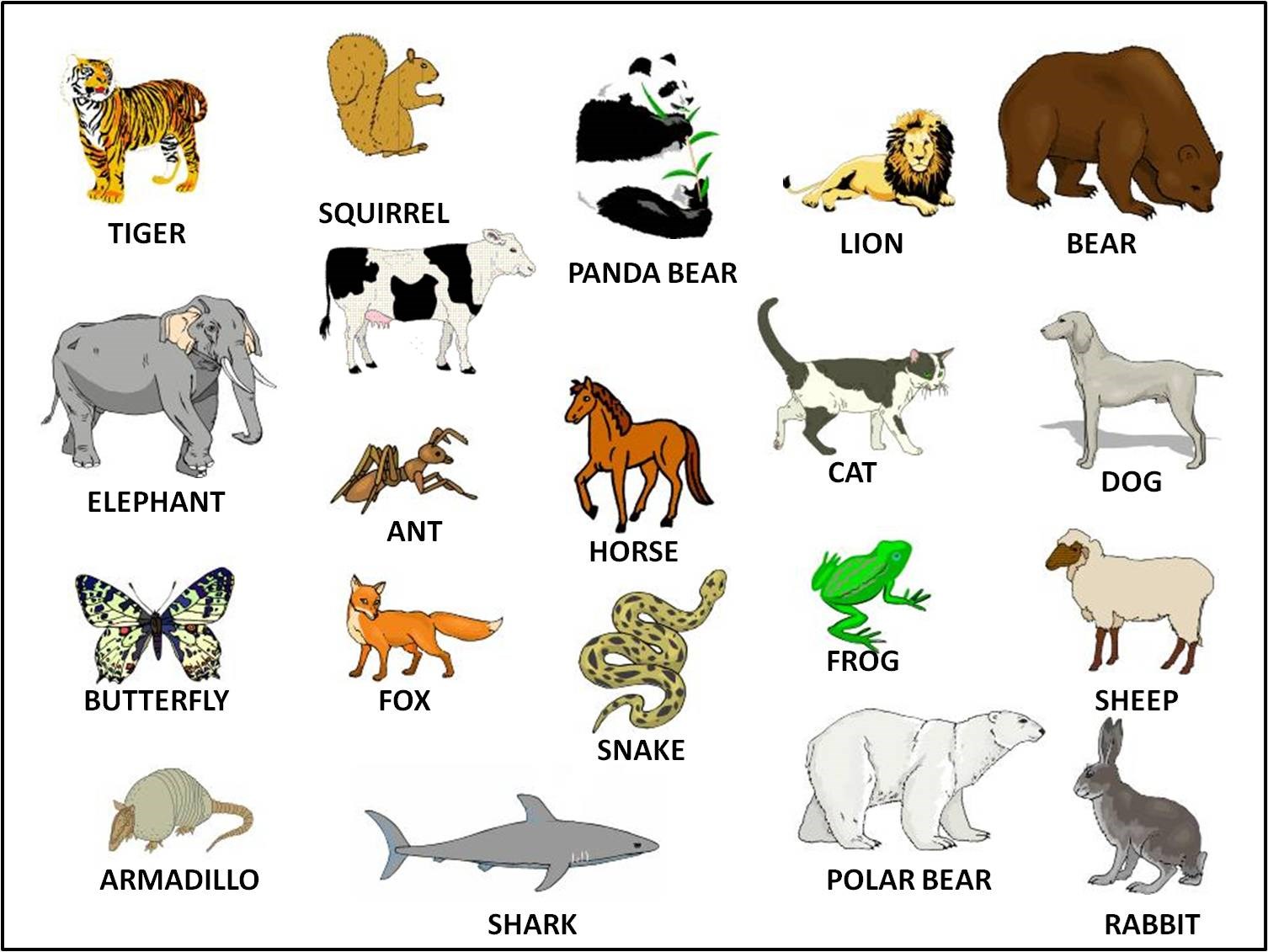 Английский 2 класс тема животных. Английский язык тема животные. Дикие животные на английском. Животные на английском для детей. Дети животных названия.